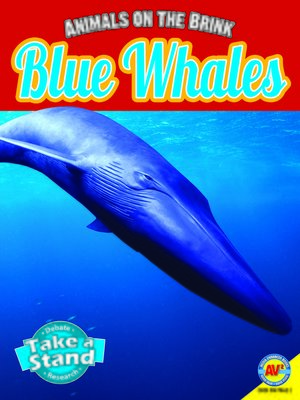 cover image of Blue Whales